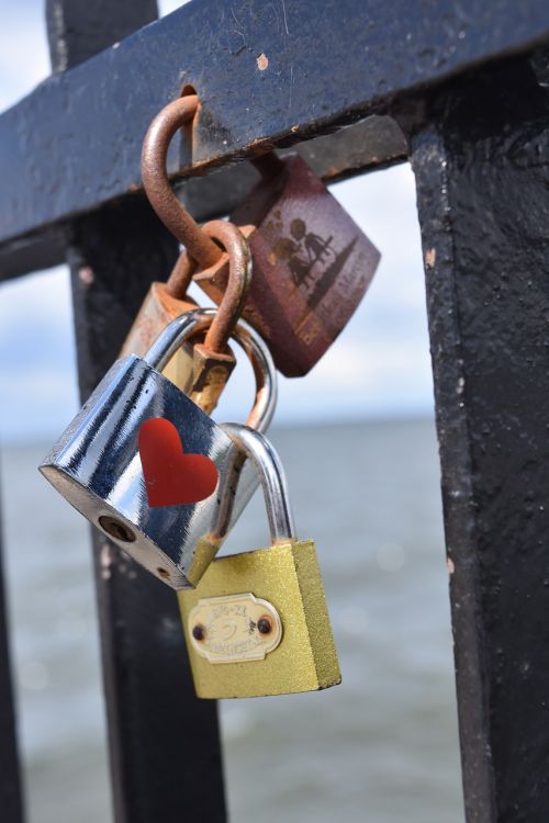padlocks padlock of lovers the pier