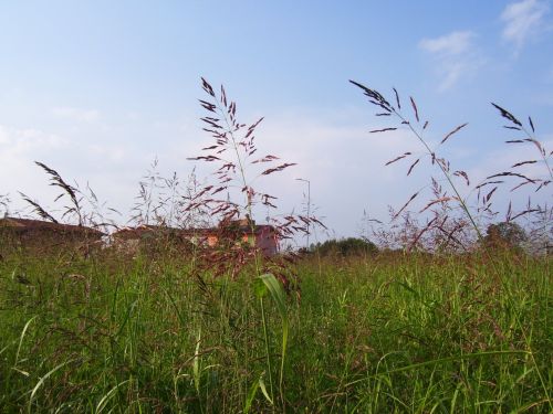 Rural Landscape