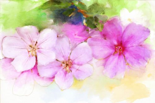 paint flower floral