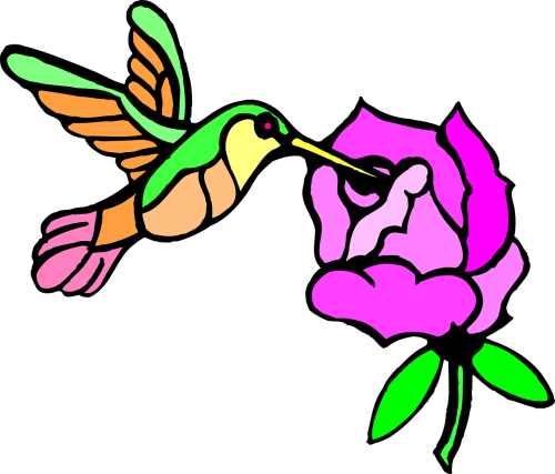 paint flower bird