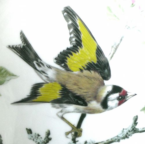Painted Bird On A Vase