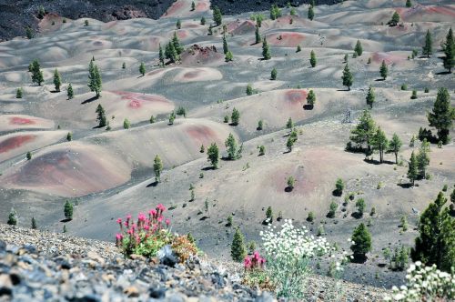 painted dunes lassen national park lava rock