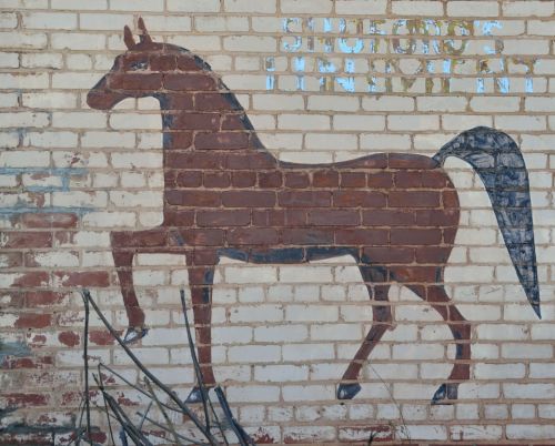 Painted Horse Background