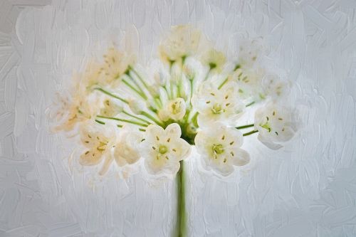 painting flower white