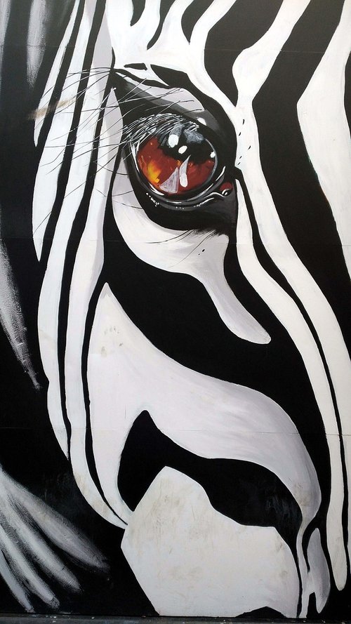 painting  graffiti  zebra