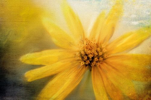 painting yellow flower