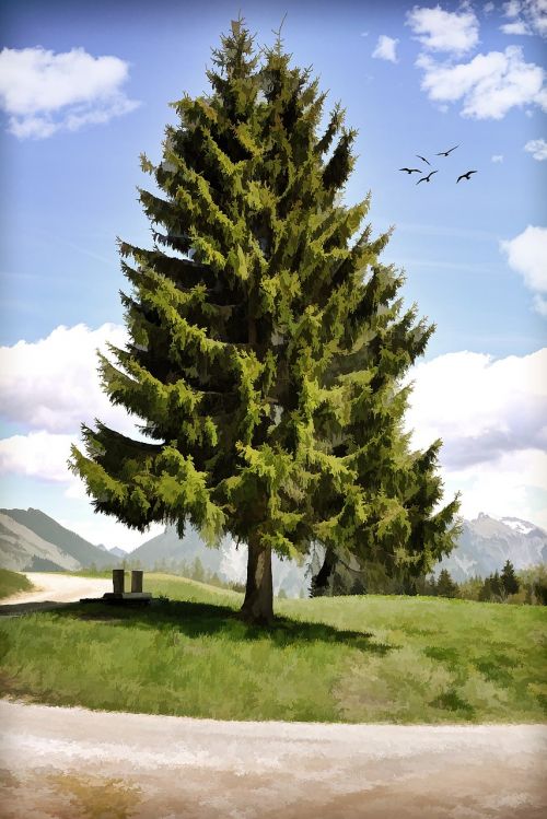 painting landscape tree