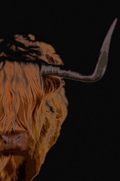 Painting Of A Highland Cow