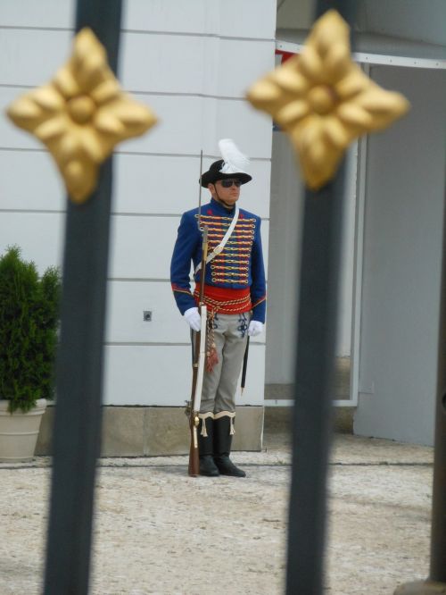 palace castle guard