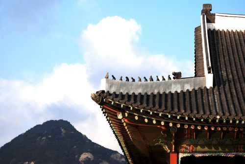 palace roof japsang