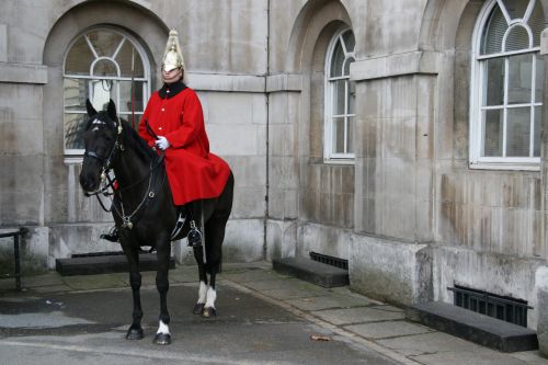 Palace Guard