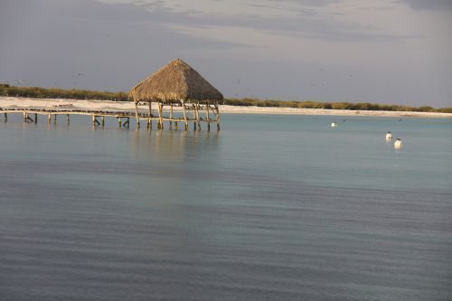 Palapa Alacranes