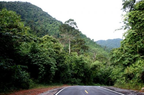 palau hua hin pa