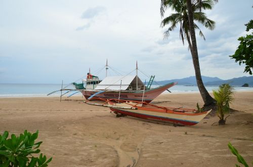 palawan mangrove jungle boat