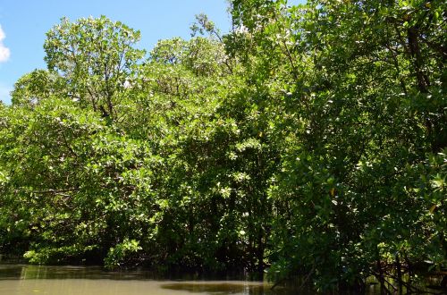 palawan water river