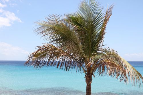 palm beach holiday