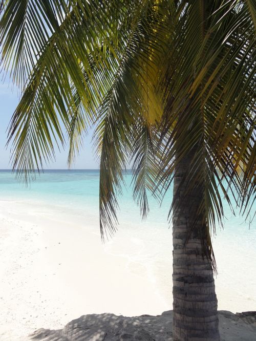 palm beach maldives