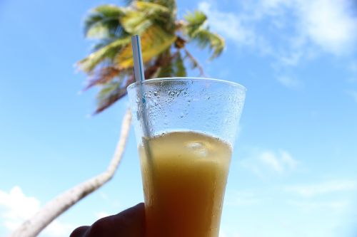palm drink soft drink