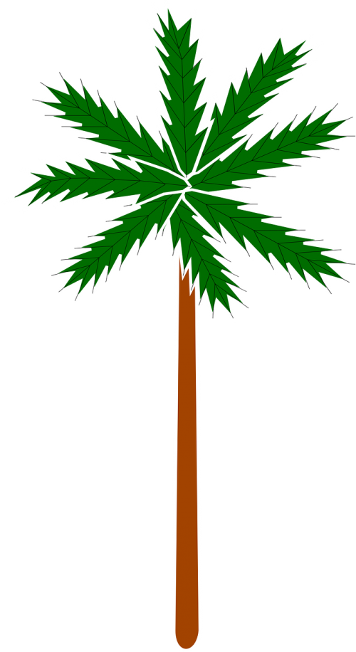 palm plant stylised