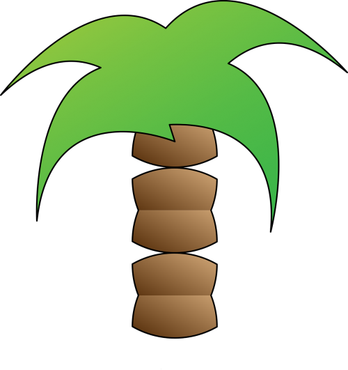 palm holiday sea