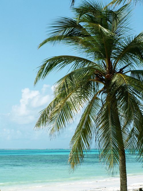palm beach holiday