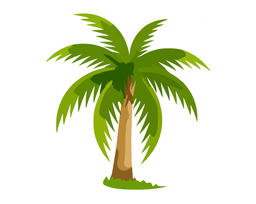 palm tree green