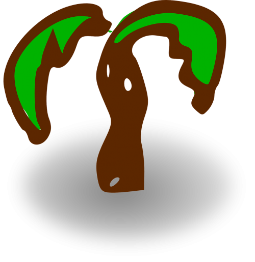 palm tree green