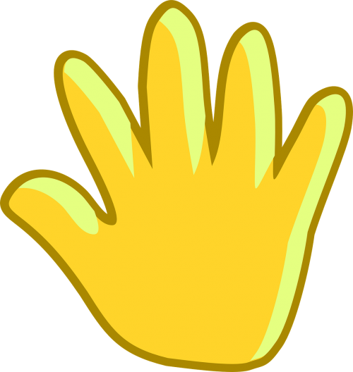 palm hand digits