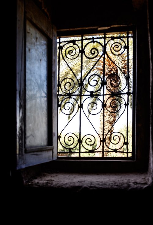 palm  window  morocco