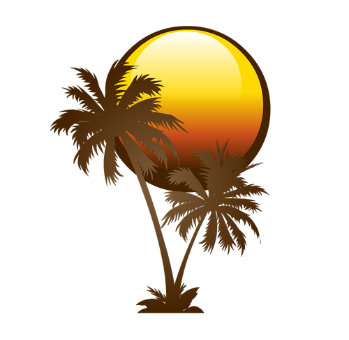 palm  tree  solar