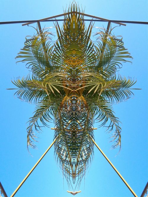 palm pattern abstract