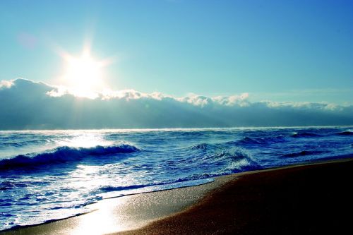 palm coast beach florida