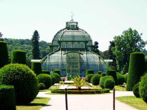 palm house schönbrunn vienna