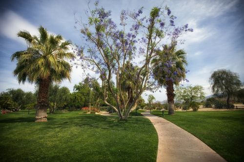 palm springs california park