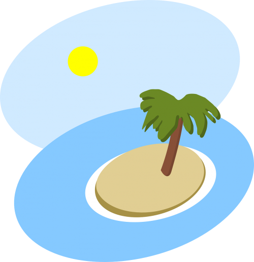 palm tree coconut tree island