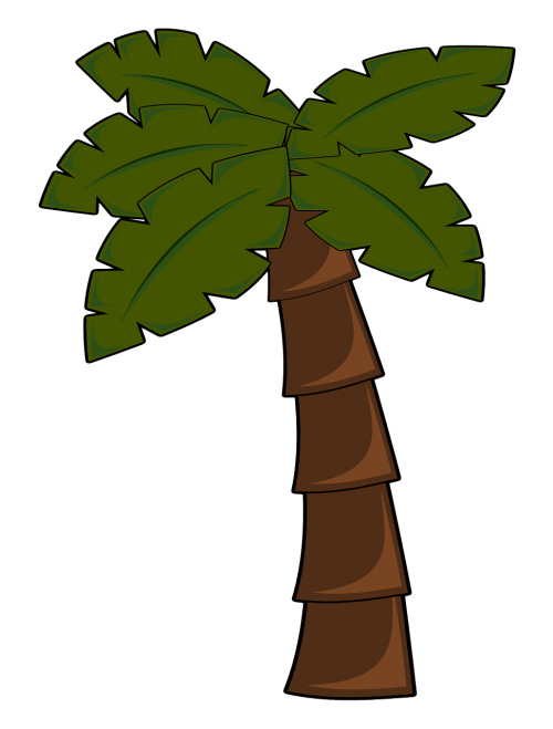 palm tree jungle palm