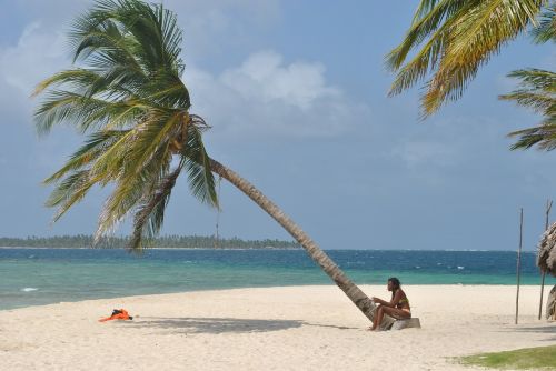 palm tree beach women