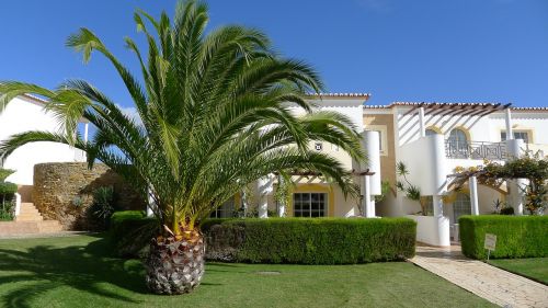 palm tree hotel portugal