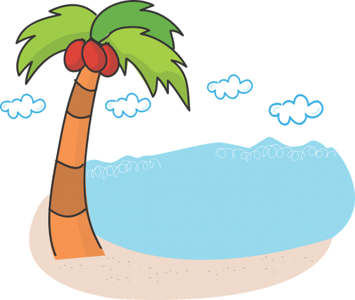 palm tree beach sea