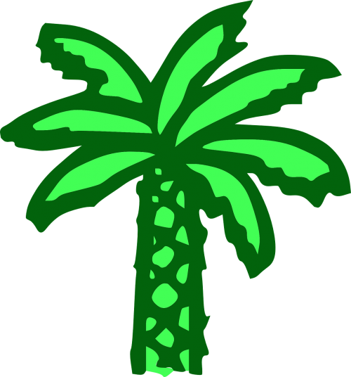palm tree green beach