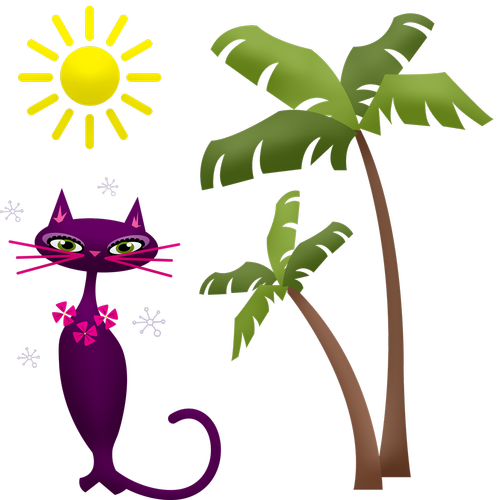 palm tree  cat  hawaii