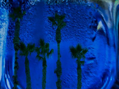 Palm Tree Blue Glass