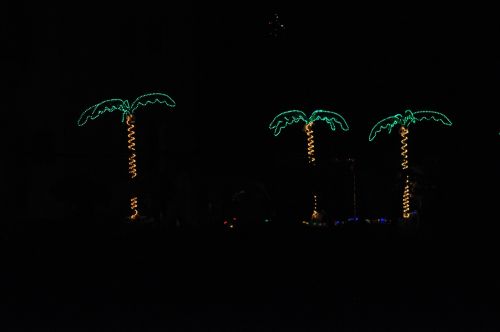 Palm Tree Christmas Decoration