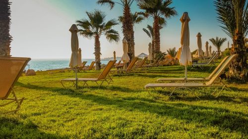 palm trees vacation beach