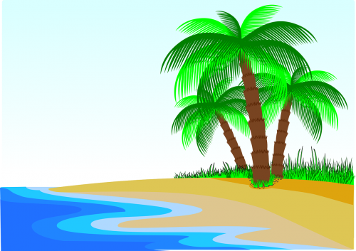 palm trees beach litoral
