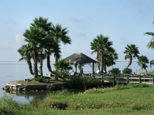 palm trees hut ocean