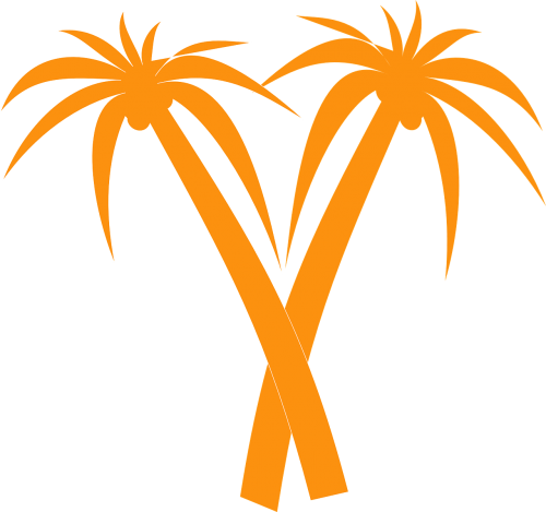 palm trees orange tropical