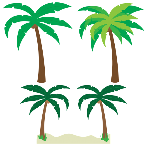 palm trees trees palm tree vector