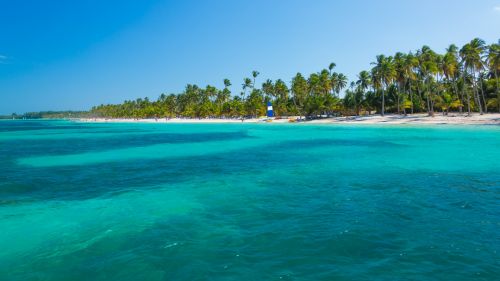 Palm Trees On The Beach