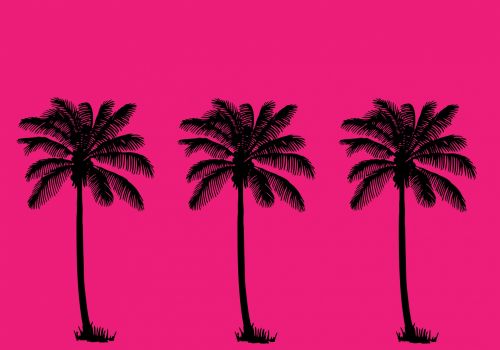 Palm Trees Summer Wallpaper